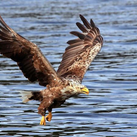 Skjaeret Rorbu Villa Stamsund Dış mekan fotoğraf